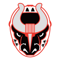 Birmingham-Bulls-Logo-300×300